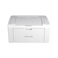Pantum P2509W Mono Laser Single Function Printer