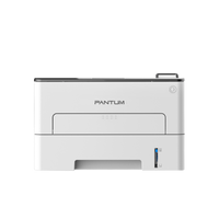 Pantum P3300DW Mono Laser Single Function Printer