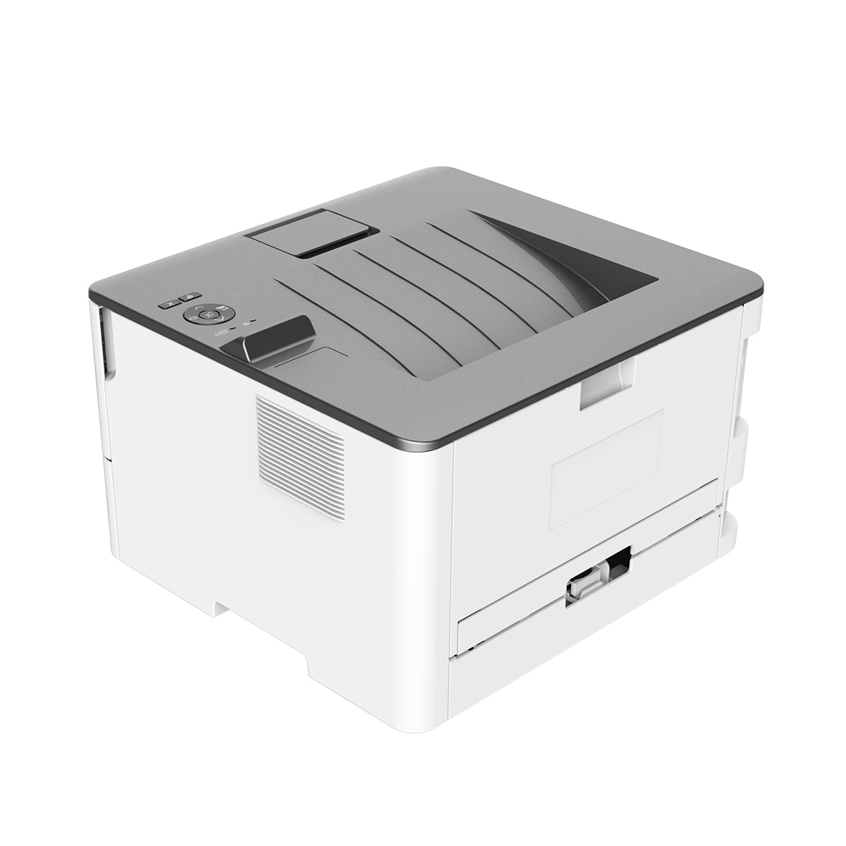 Pantum P3010DW Mono Laser Single Function Printer