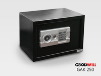 Goodwill GAK-250 Steel/Home Safes